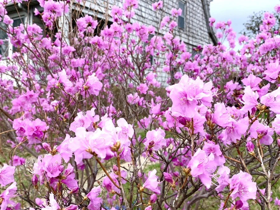 IMG_5939.jpg?type=w966