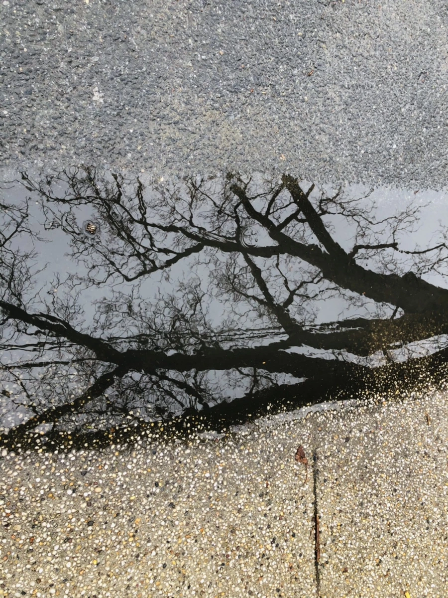 IMG_9351.jpg?type=w966