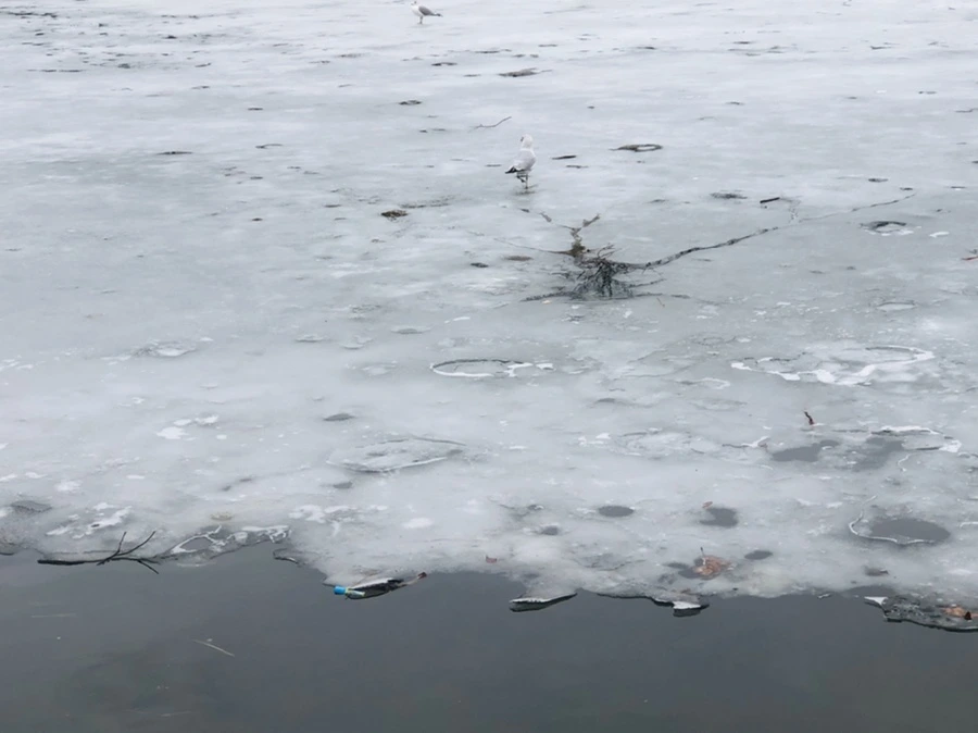 IMG_6235.jpg?type=w966