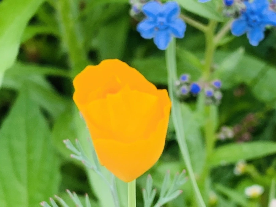 IMG_7262.jpg?type=w966