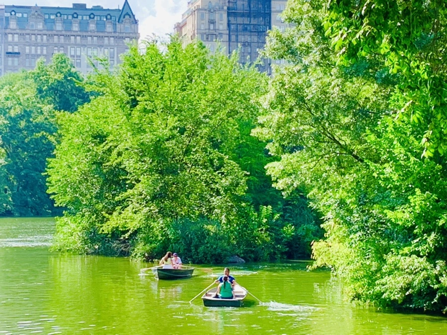 IMG_3482.jpg?type=w966