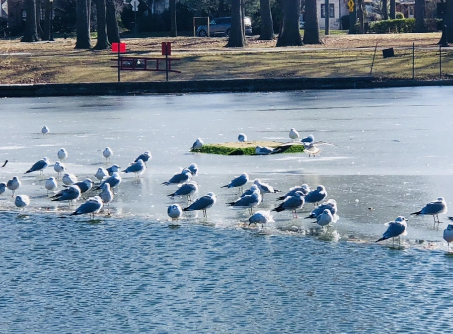 IMG_6846.jpg?type=w966