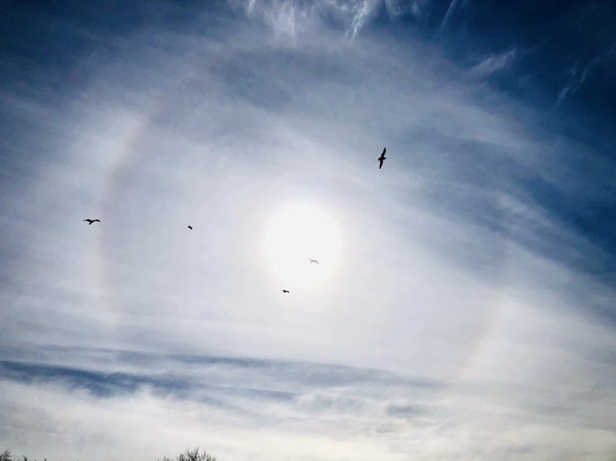 IMG_3198.jpg?type=w966