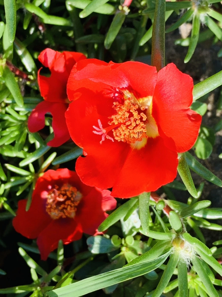 IMG_8429.jpg?type=w966