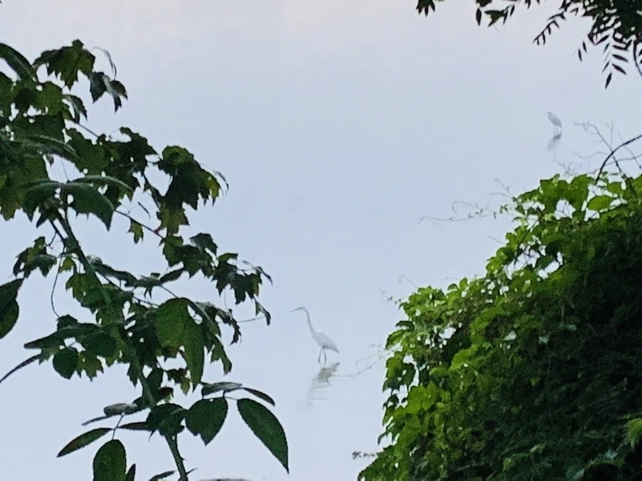 ZZJx7VsZbWvKAqoAlu1cS81T9mQ