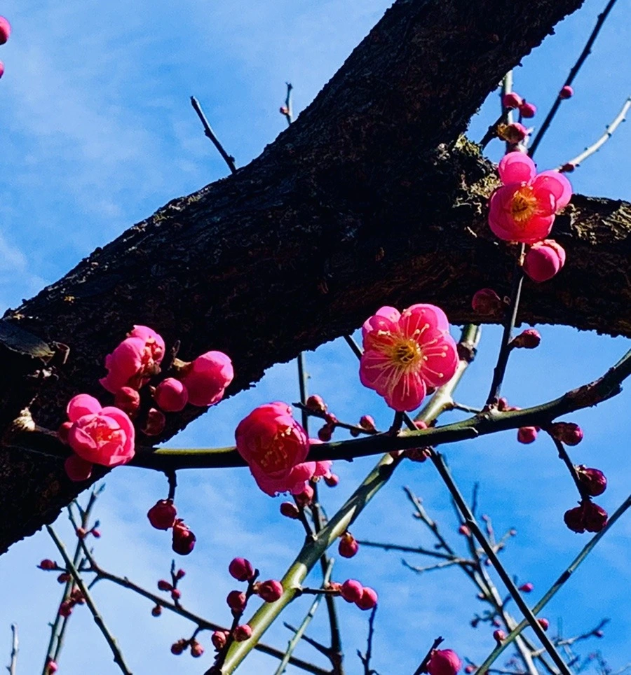 8ylSejunMqONSi40imuYAc8JcoY