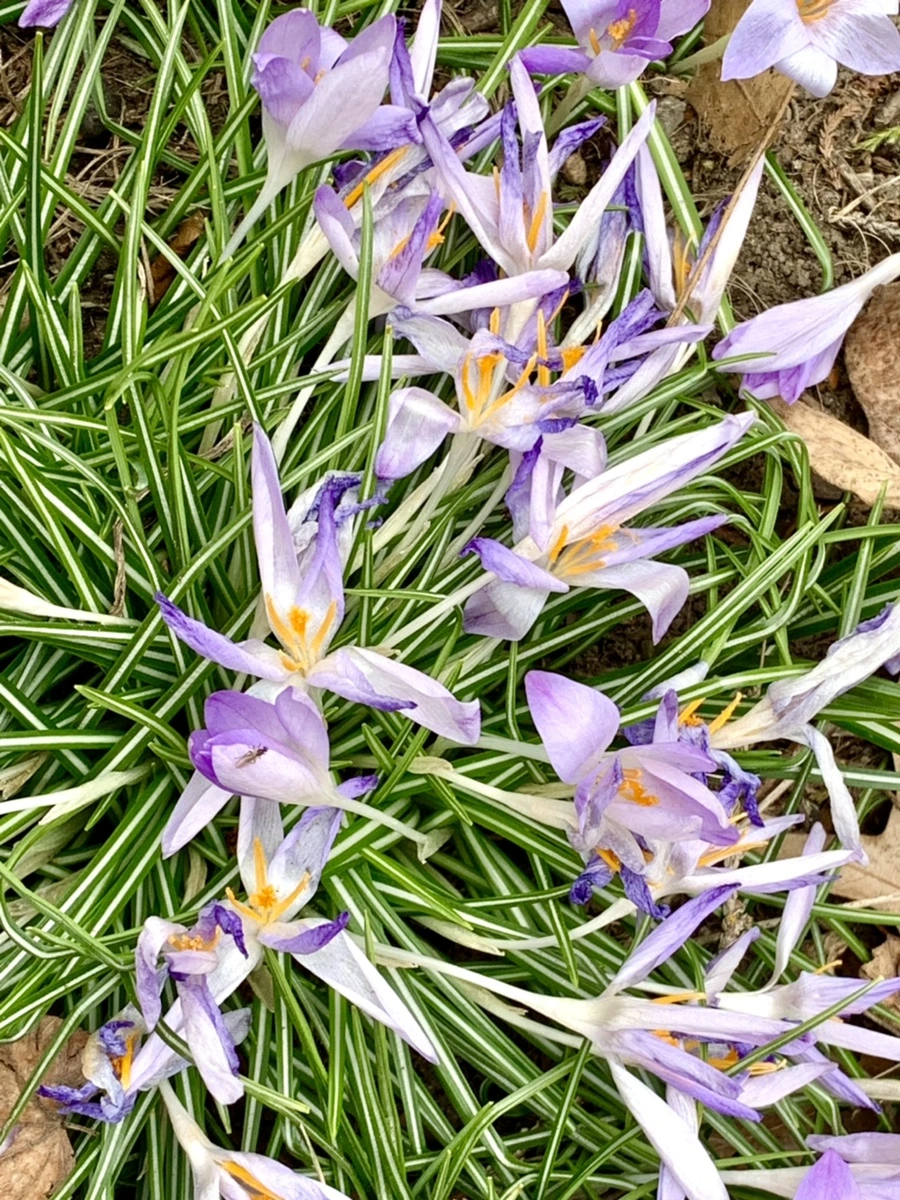 IMG_1725.jpg?type=w966