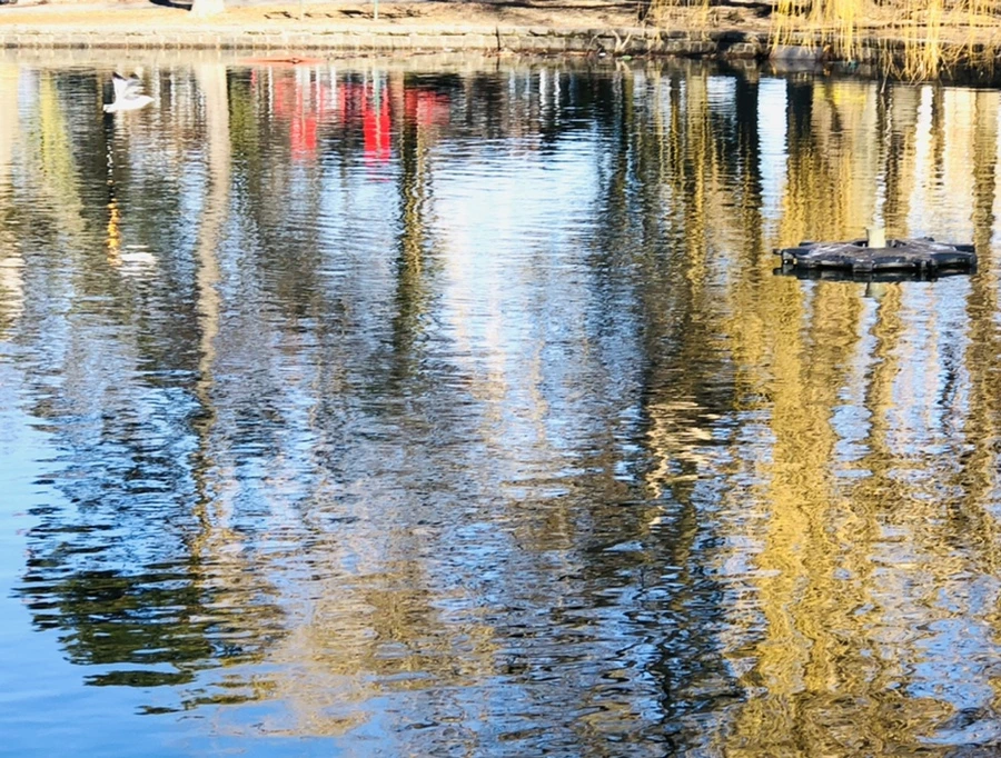 IMG_9777.jpg?type=w966