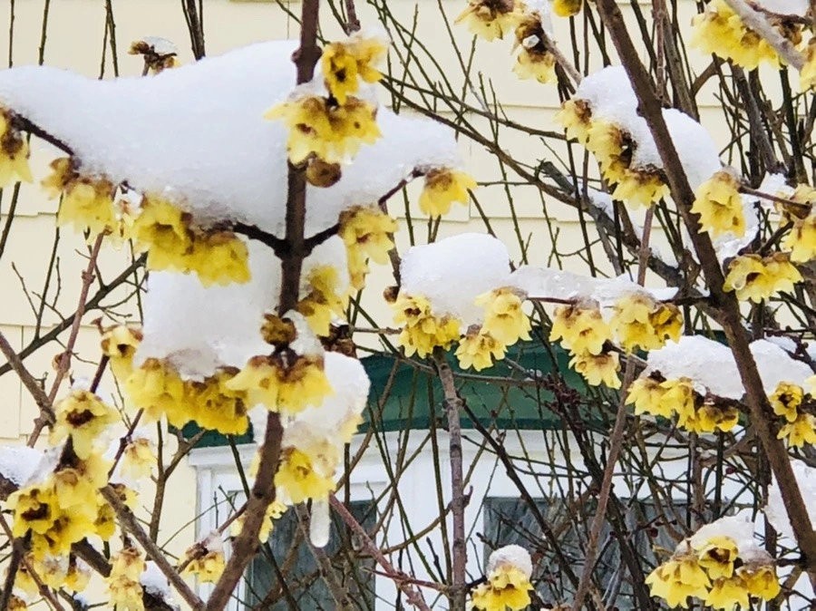 AKDQxhcIH9F5Cv4c4cMUZwj_Urw