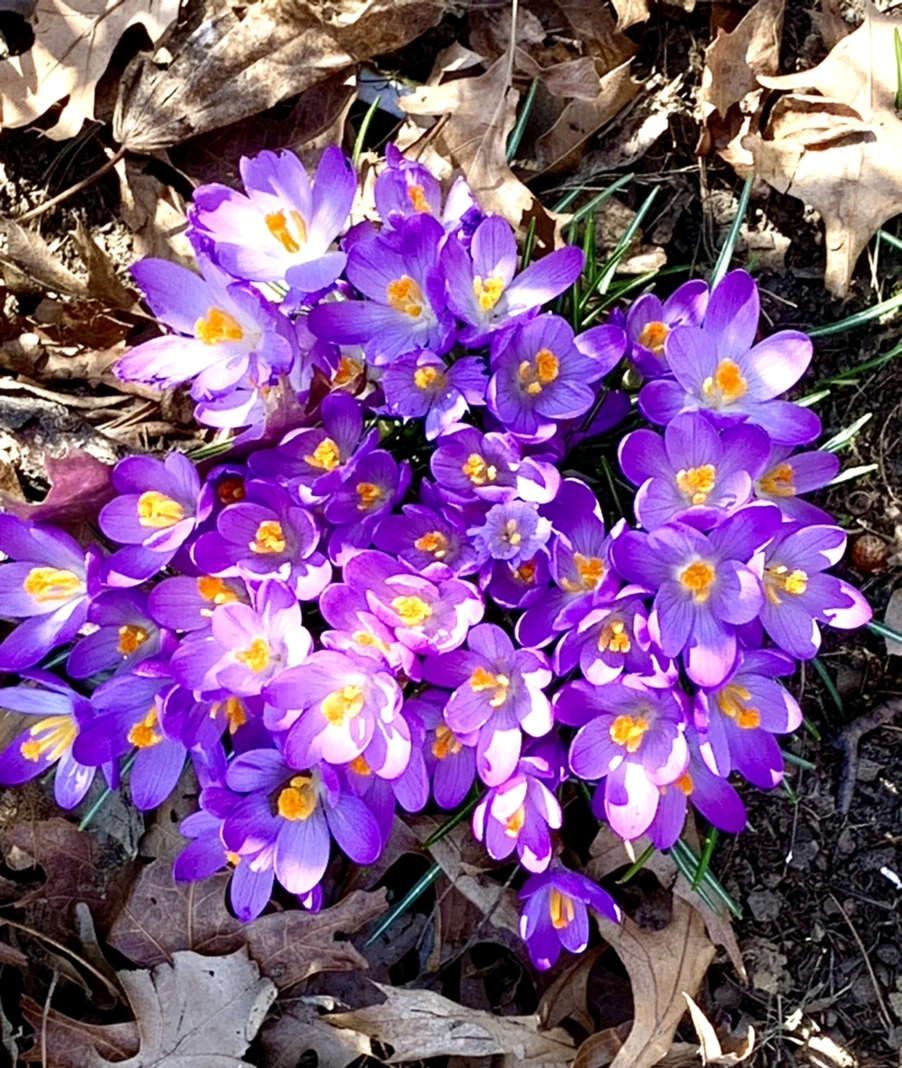 IMG_9773.jpg?type=w966