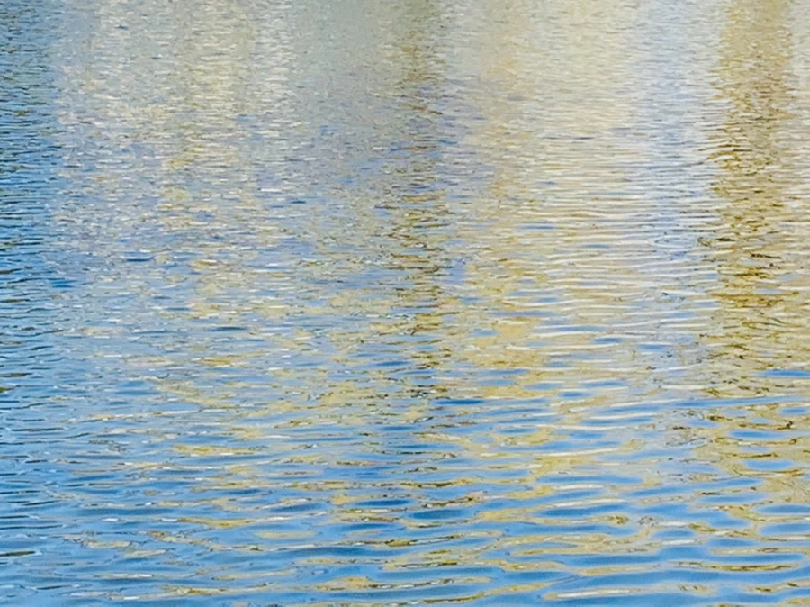 IMG_3053.jpg?type=w966