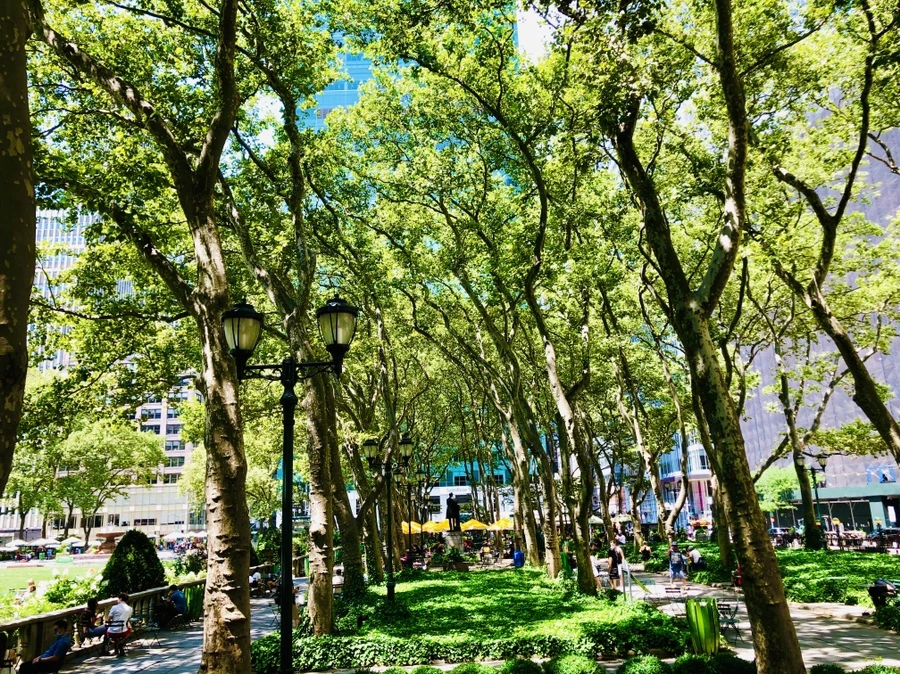 IMG_5283.jpg?type=w966