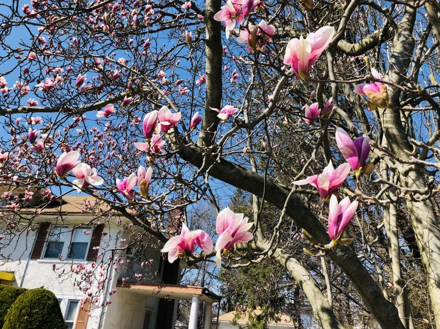 IMG_2309.jpg?type=w966