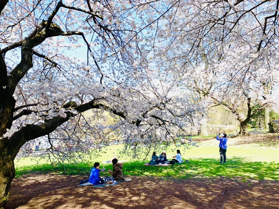 IMG_8972.jpg?type=w966