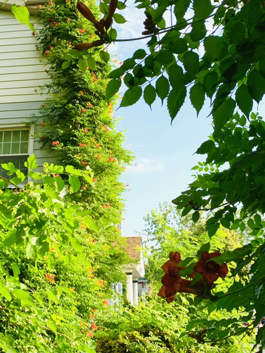 IMG_5848.jpg?type=w966