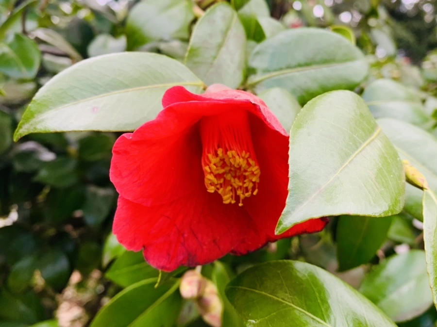 IMG_6438.jpg?type=w966