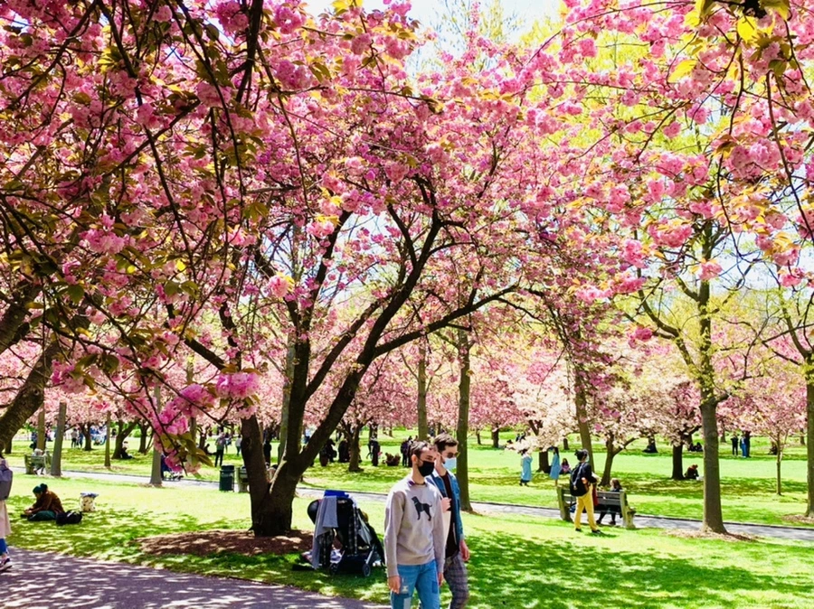 IMG_6417.jpg?type=w966