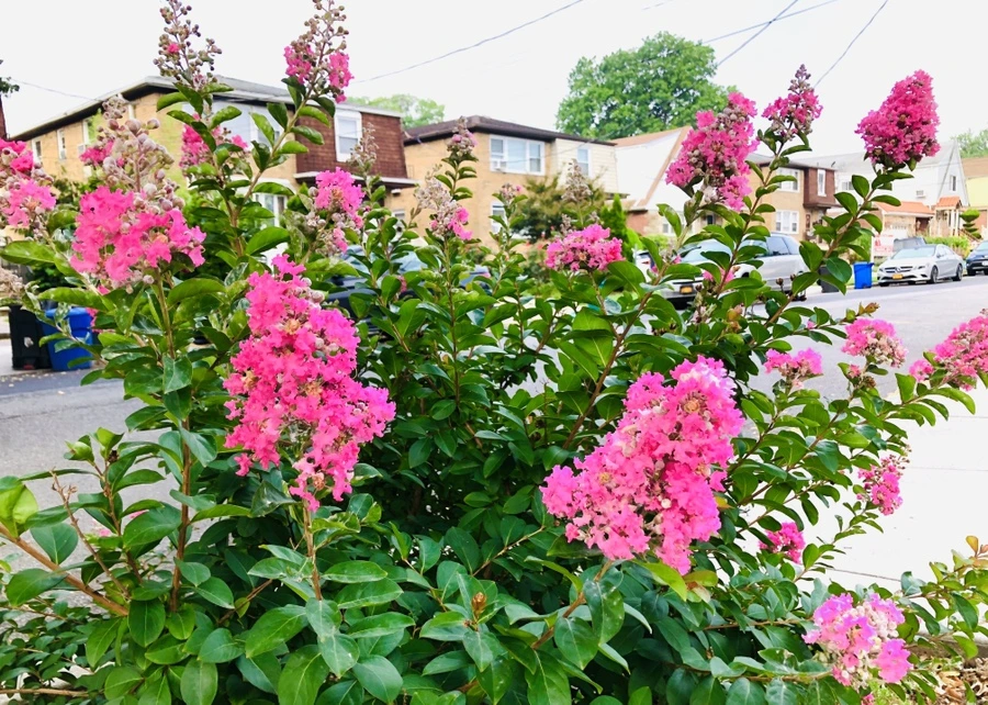 IMG_3456.jpg?type=w966