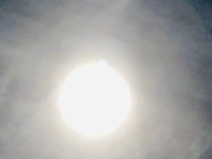 IMG_3110.jpg?type=w966