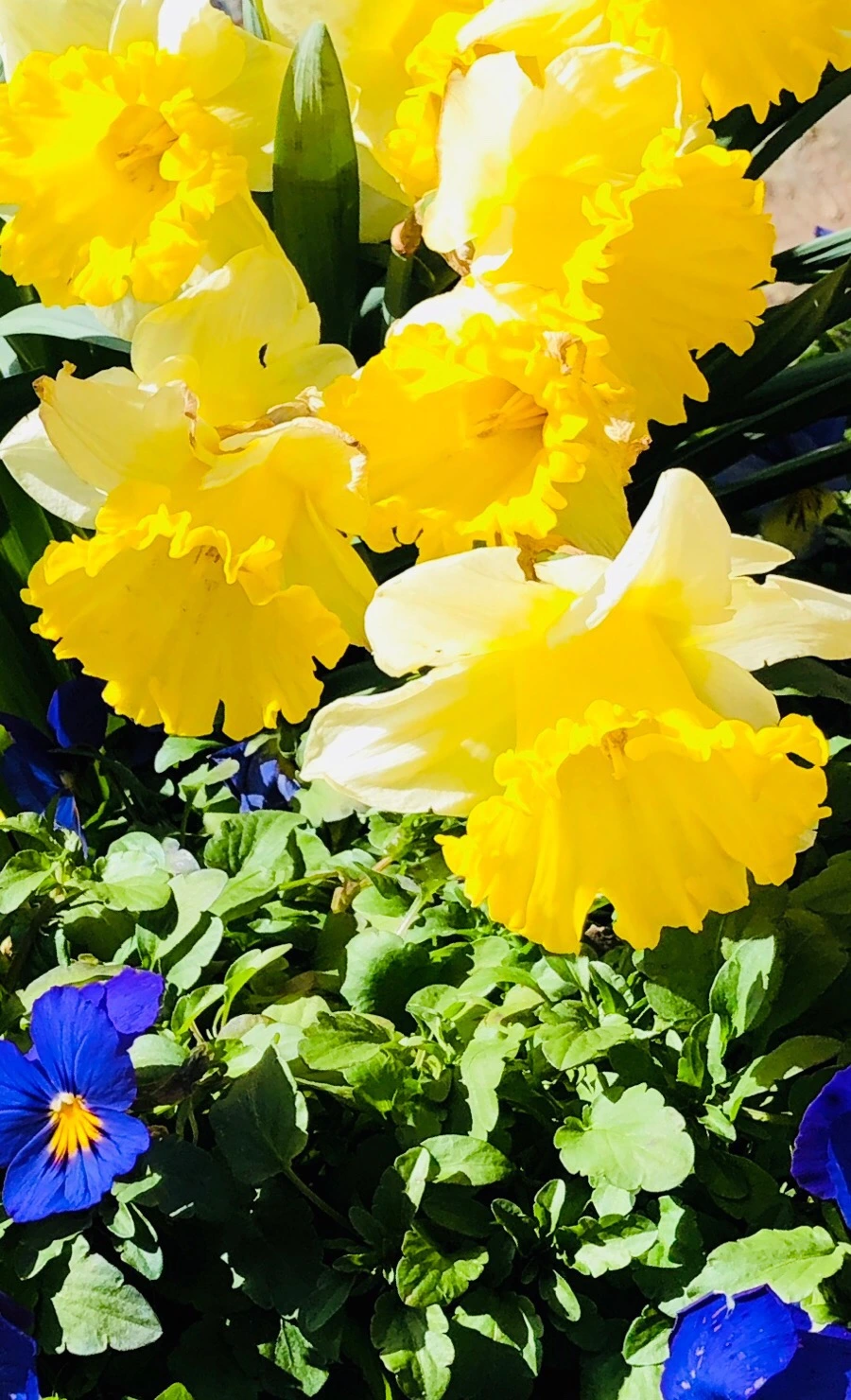 IMG_4577.jpg?type=w966