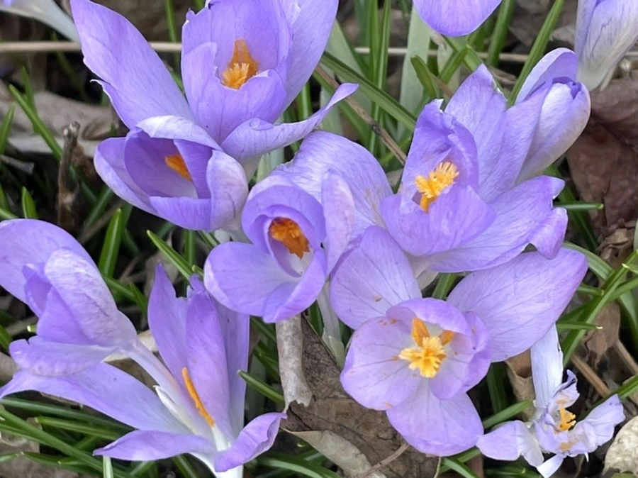 XTwGLtchULi5aJzFpkpL861YA8s