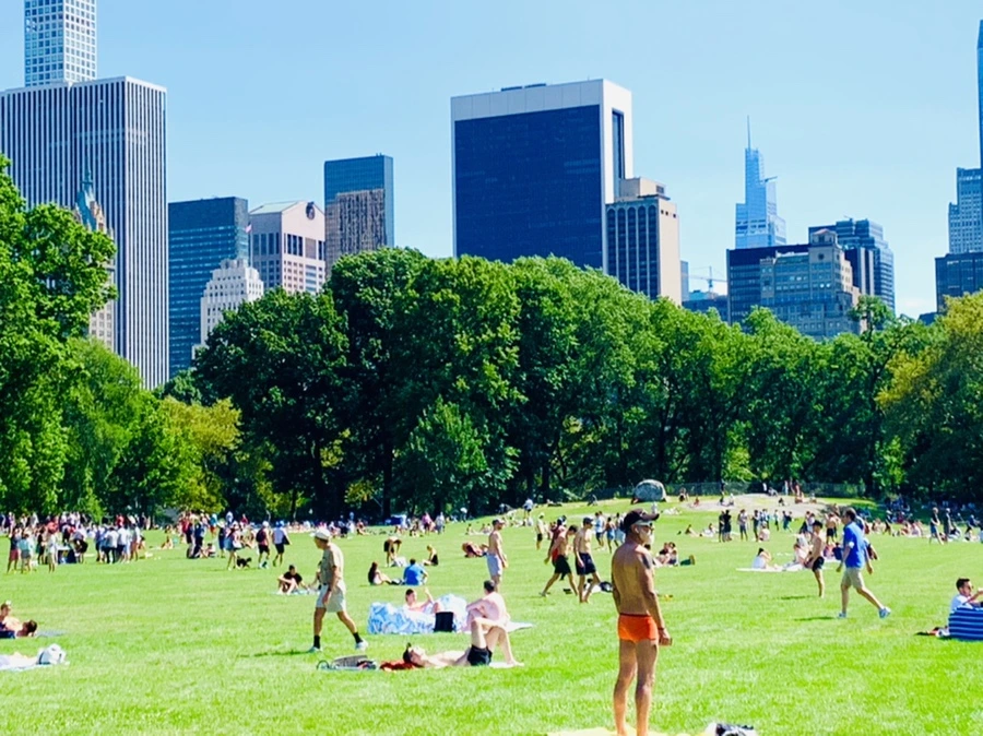 IMG_4398.jpg?type=w966