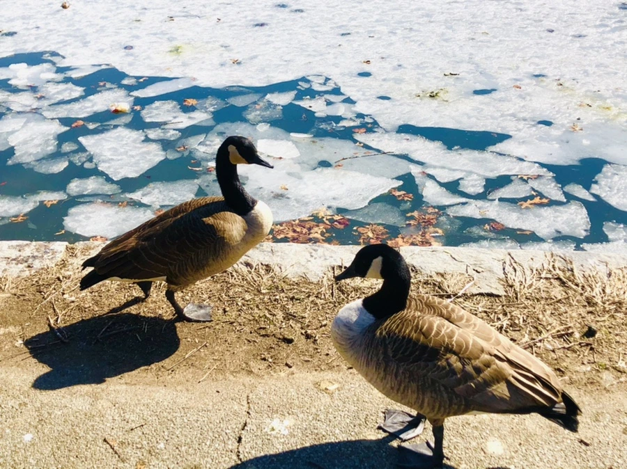 IMG_5112.jpg?type=w966