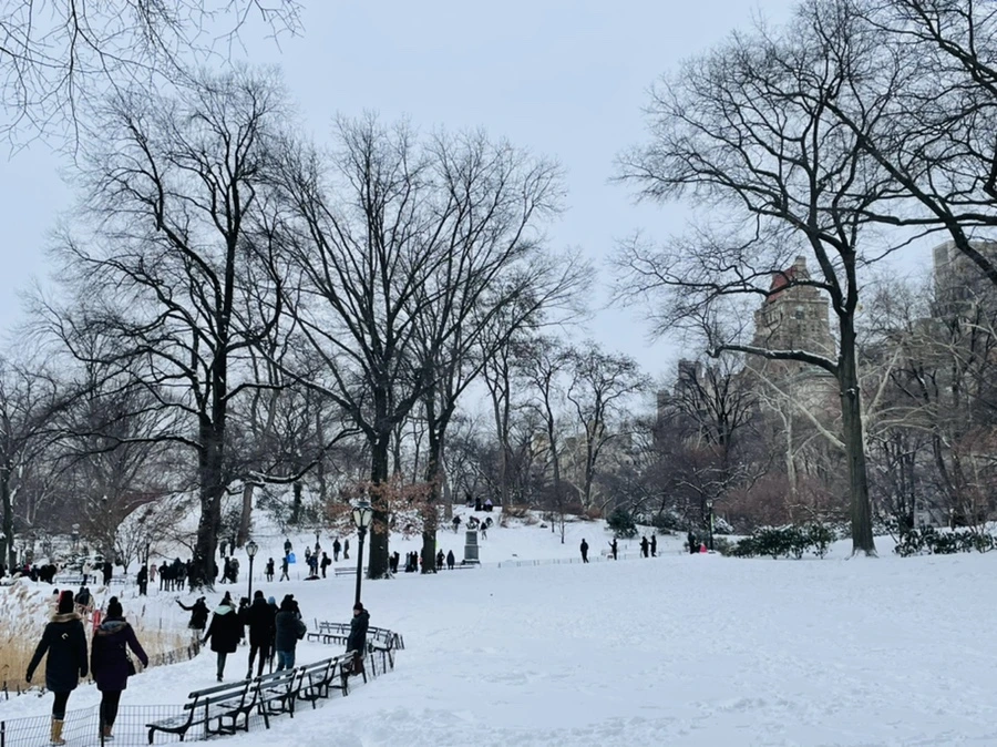 IMG_0803.jpg?type=w966