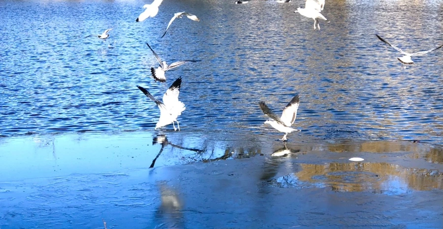 IMG_0537.jpg?type=w966