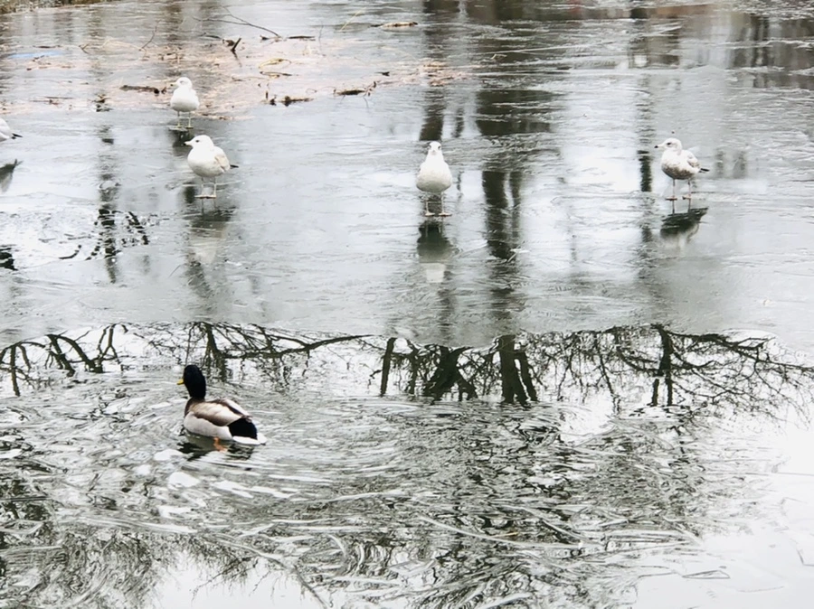 IMG_9019.jpg?type=w966