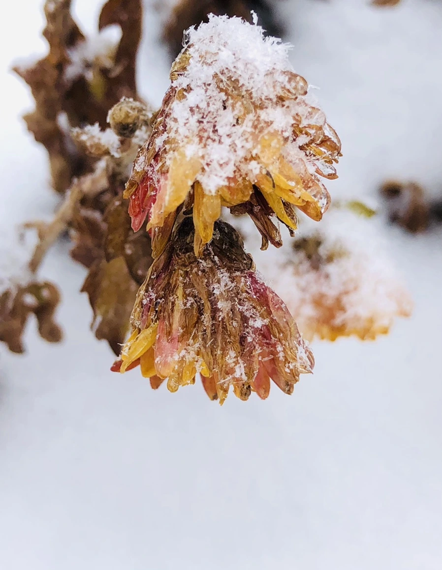 IMG_3444.jpg?type=w966