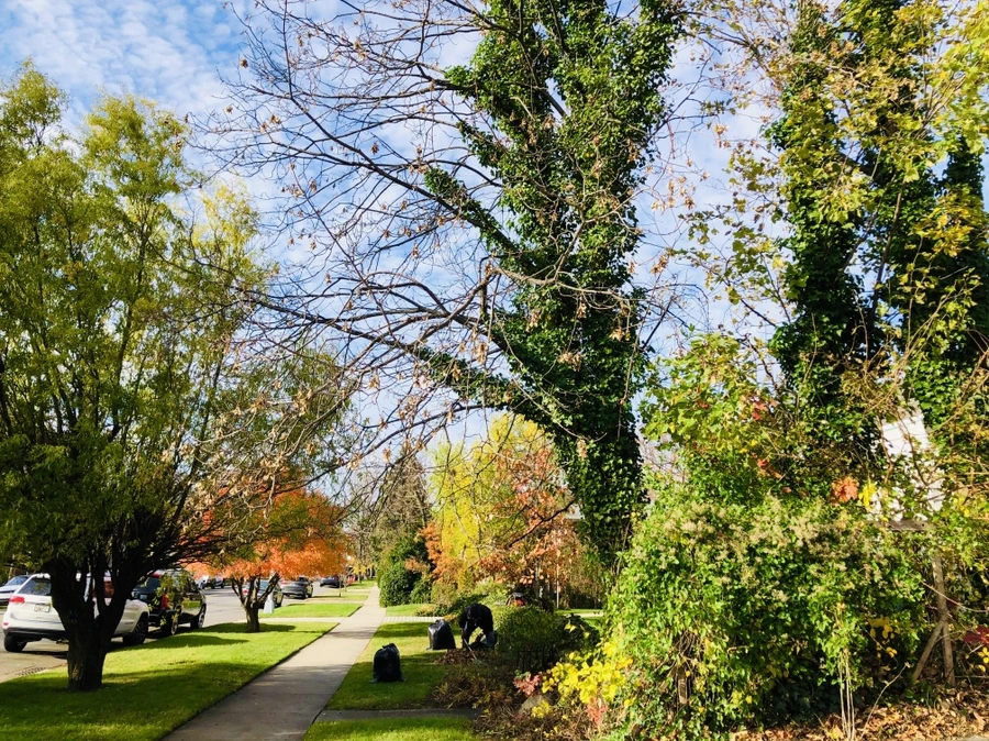 IMG_5361.jpg?type=w966