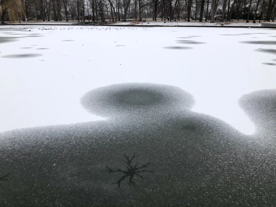 IMG_6109.jpg?type=w966