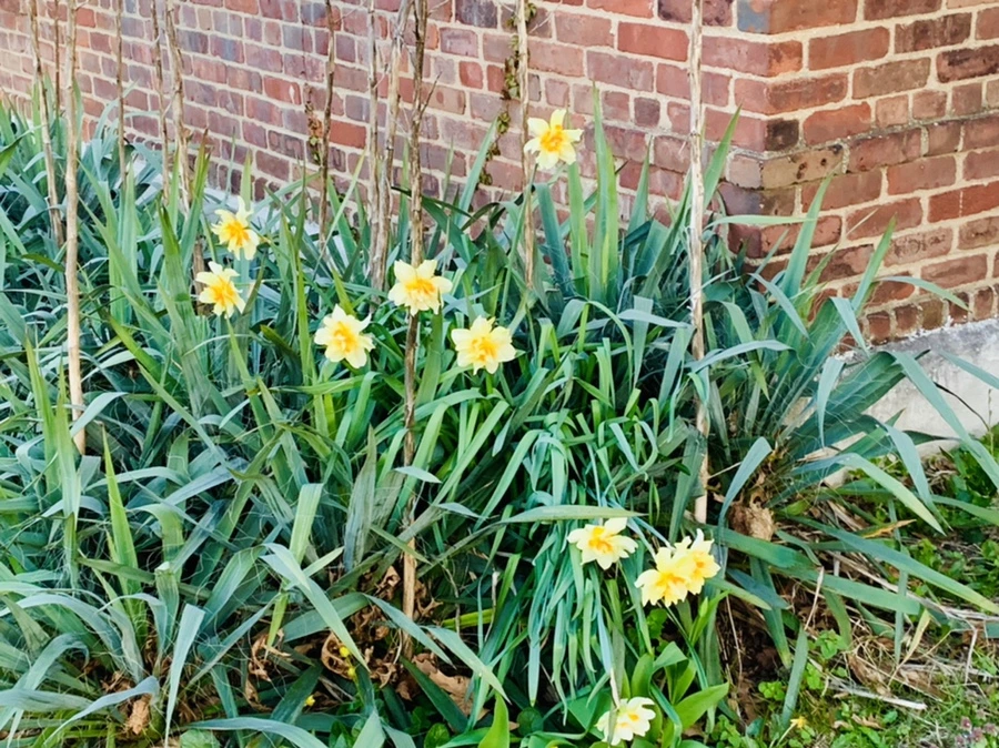 IMG_7441.jpg?type=w966