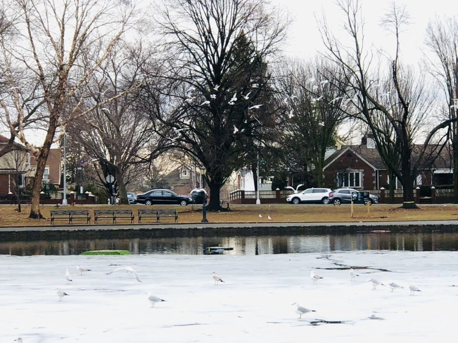 IMG_6294.jpg?type=w966