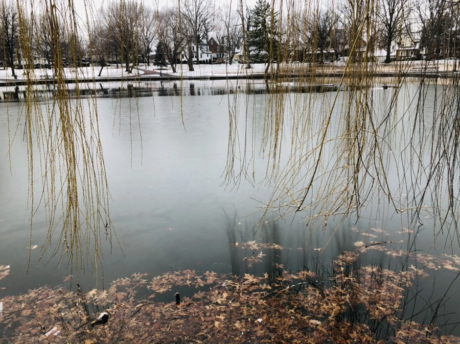 IMG_4556.jpg?type=w966