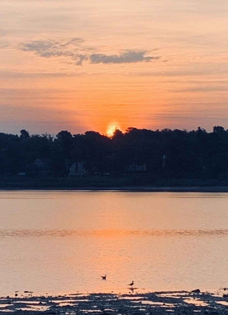 IMG_7678.jpg?type=w966