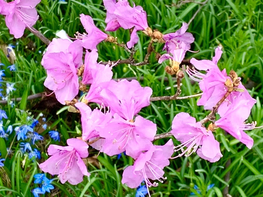 IMG_5977.jpg?type=w966