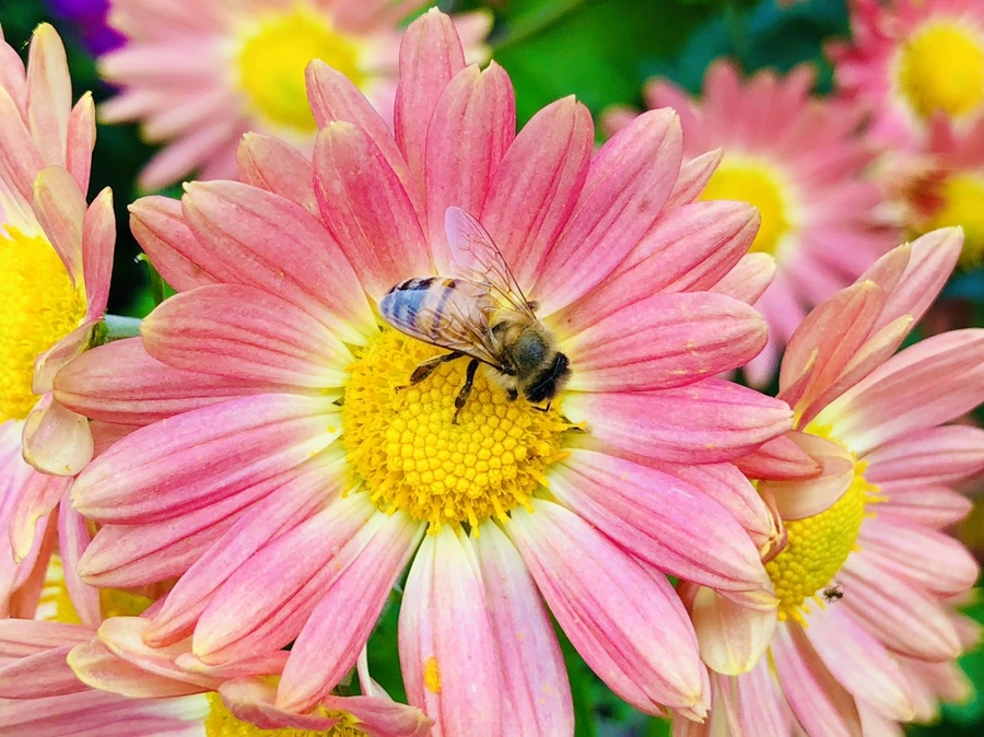 IMG_2662.jpg?type=w966