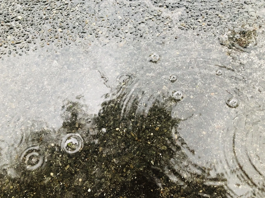 IMG_5101.jpg?type=w966