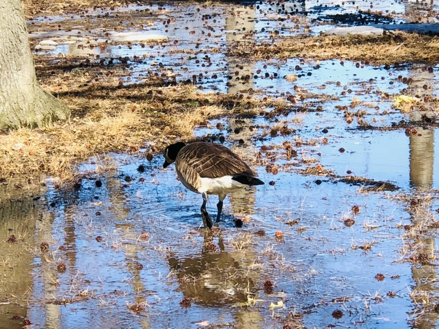 IMG_4656.jpg?type=w966