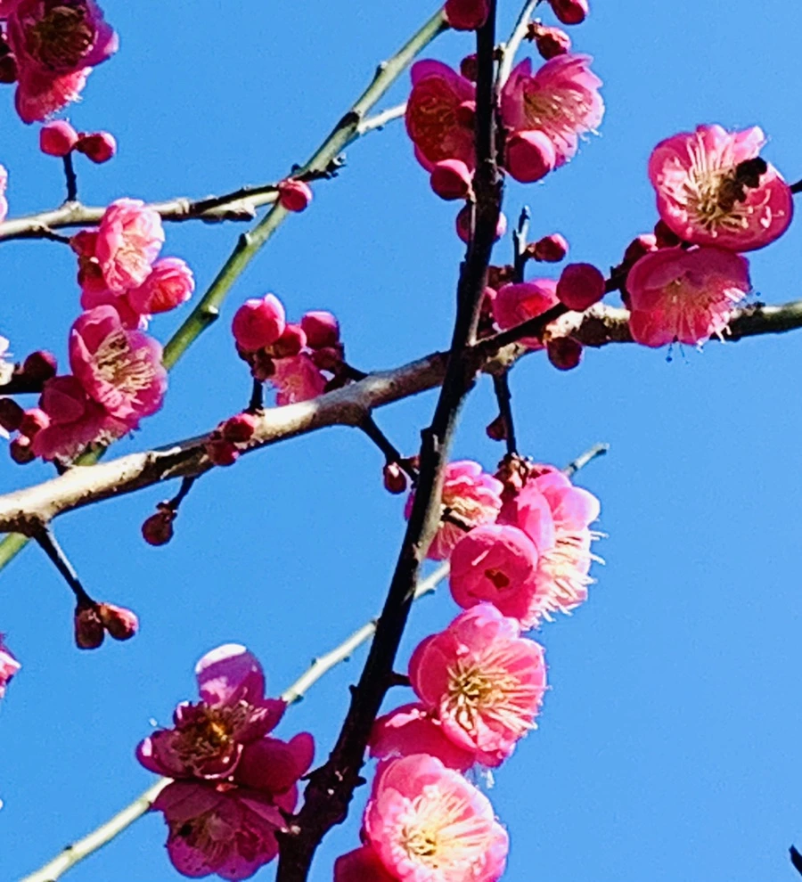 IMG_2996.jpg?type=w966