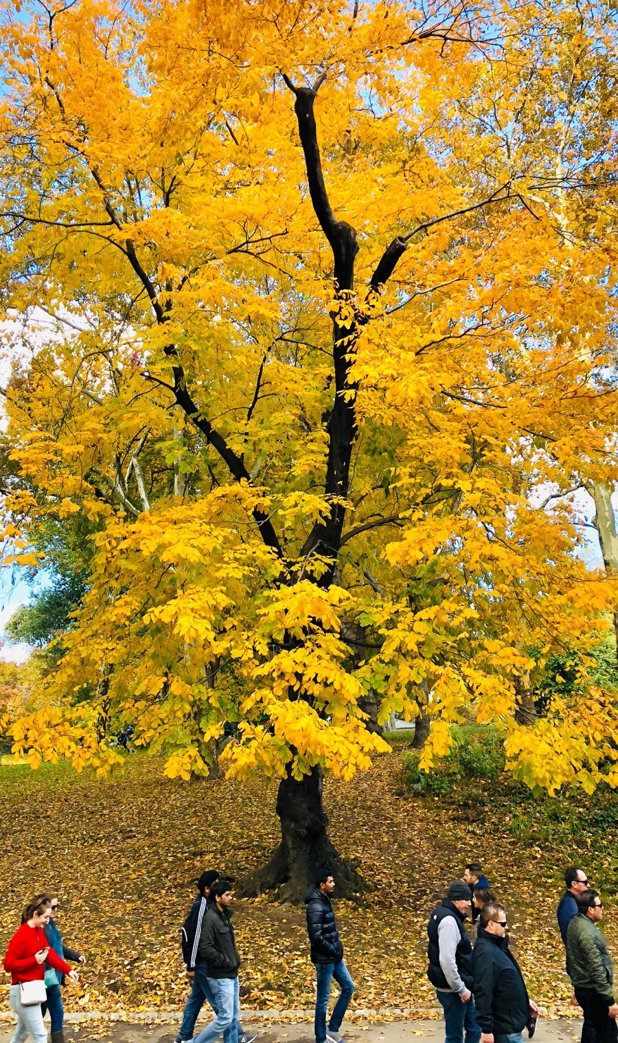 IMG_7322.jpg?type=w966