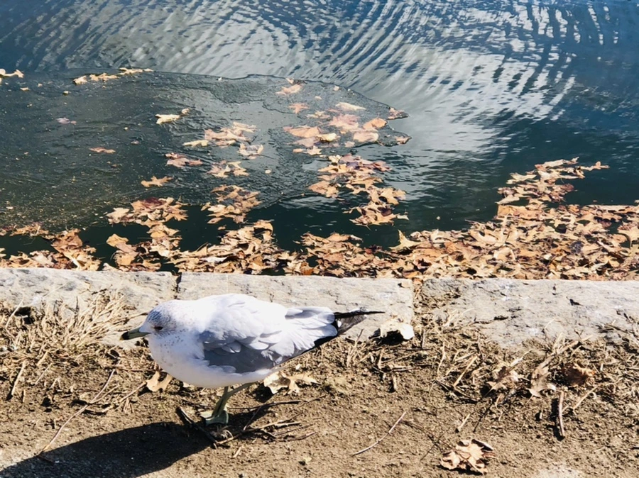 IMG_7607.jpg?type=w966