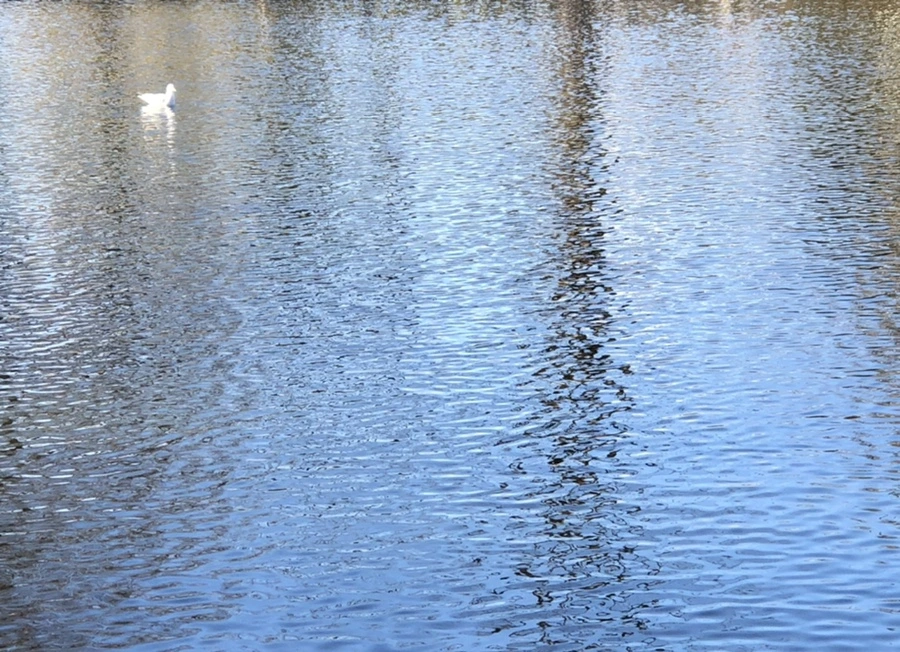 IMG_9735.jpg?type=w966