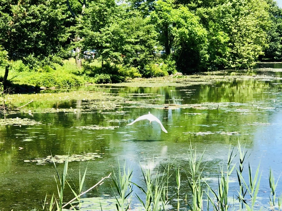 IMG_9698.jpg?type=w966