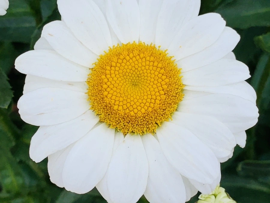 8UNs1V_JEyVQpkxq7WVgZ8k9fsw