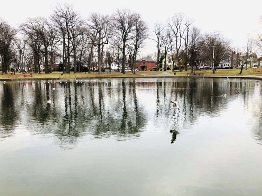 IMG_1012.jpg?type=w966