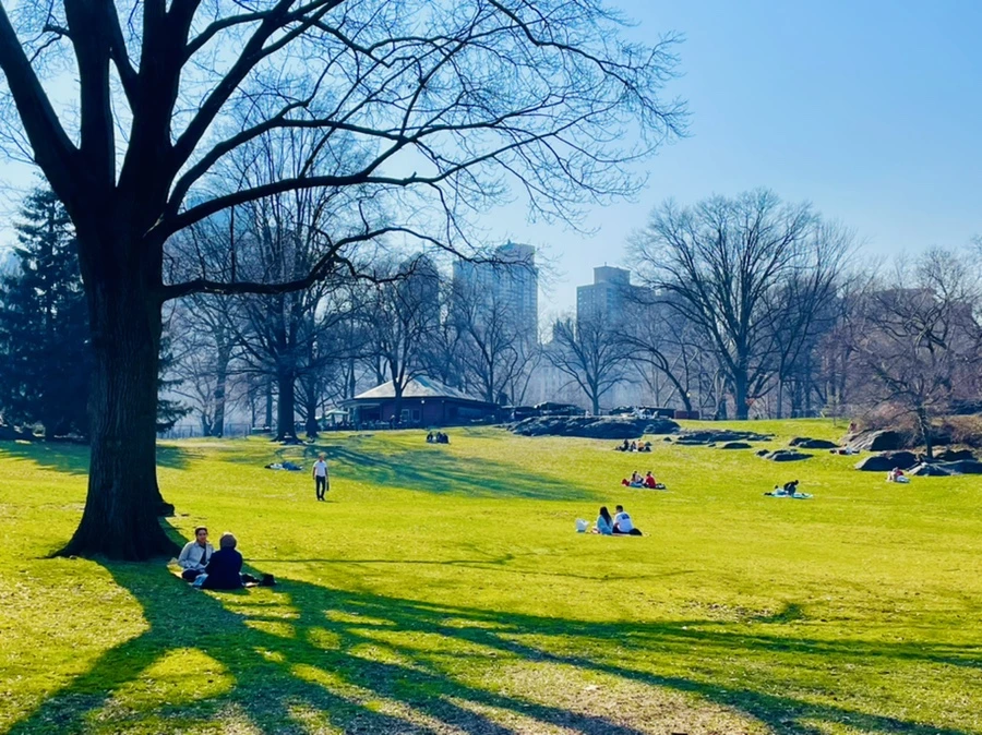 IMG_5624.jpg?type=w966