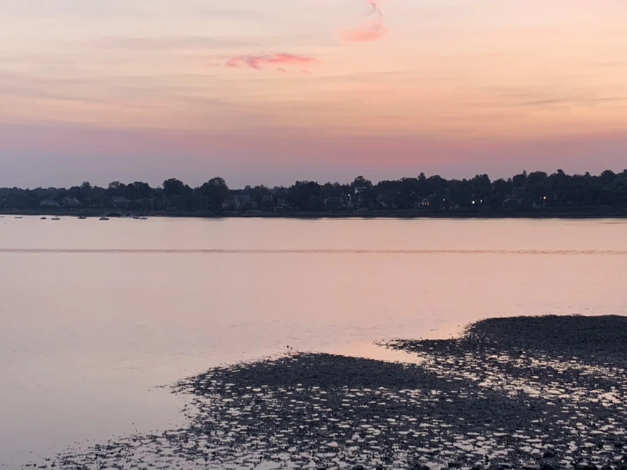 IMG_7485.jpg?type=w966